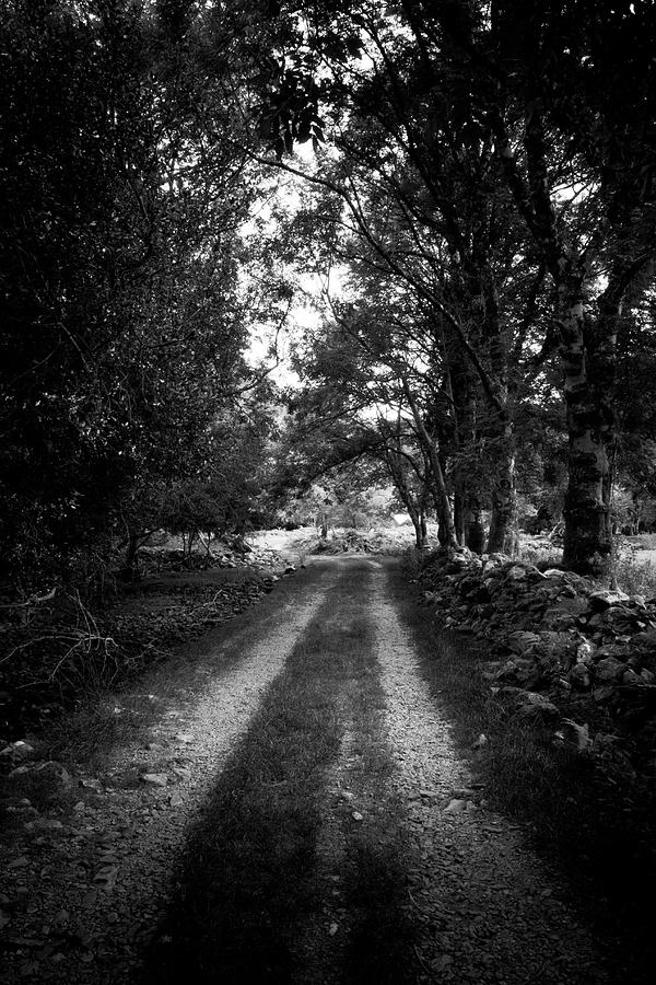 The Dark Road #1 Photograph by Mark Callanan