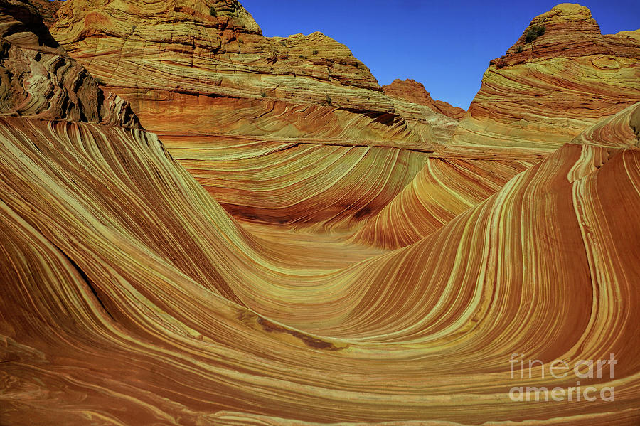 The Desert Wave #1 Photograph by Roxie Crouch