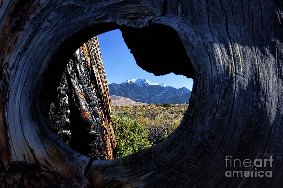 The Eye of the Beholder #2 Photograph by Jim Garrison