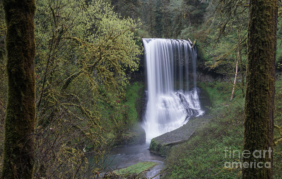 The Falls #1 Photograph by Brian Kamprath