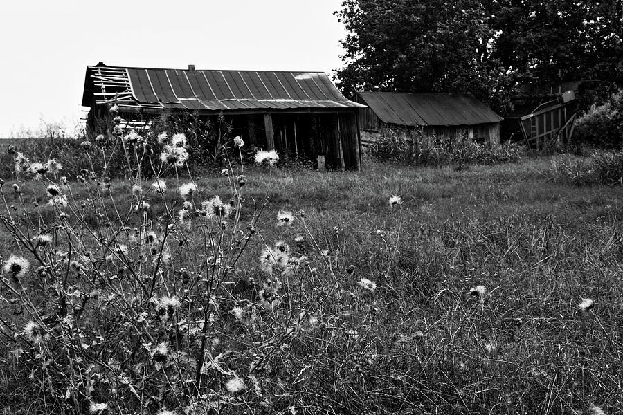 The Farm #1 Photograph by Daniel Koglin