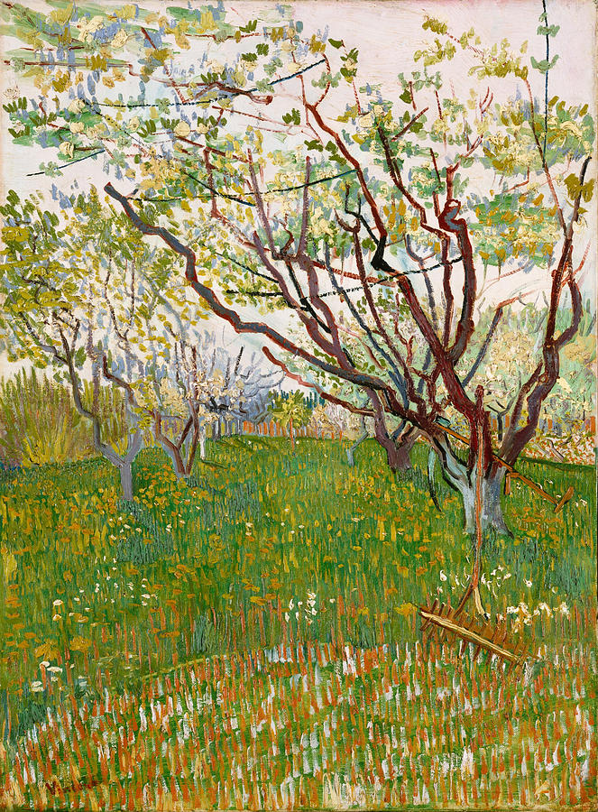The Flowering Orchard #1 Painting by Vincent van Gogh