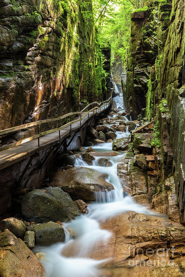 The Flume Gorge Lincoln New Hampshire #1 Photograph by Dawna Moore Photography