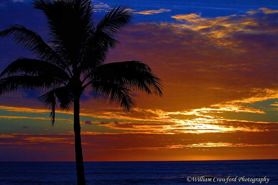 The Gathering Photograph by William Crawford - Fine Art America