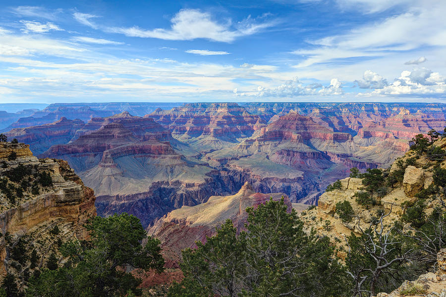 The Grand Canyon #1 Photograph by Mark Whitt