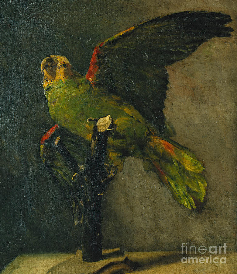 Vincent Van Gogh Painting - The Green Parrot by Vincent Van Gogh