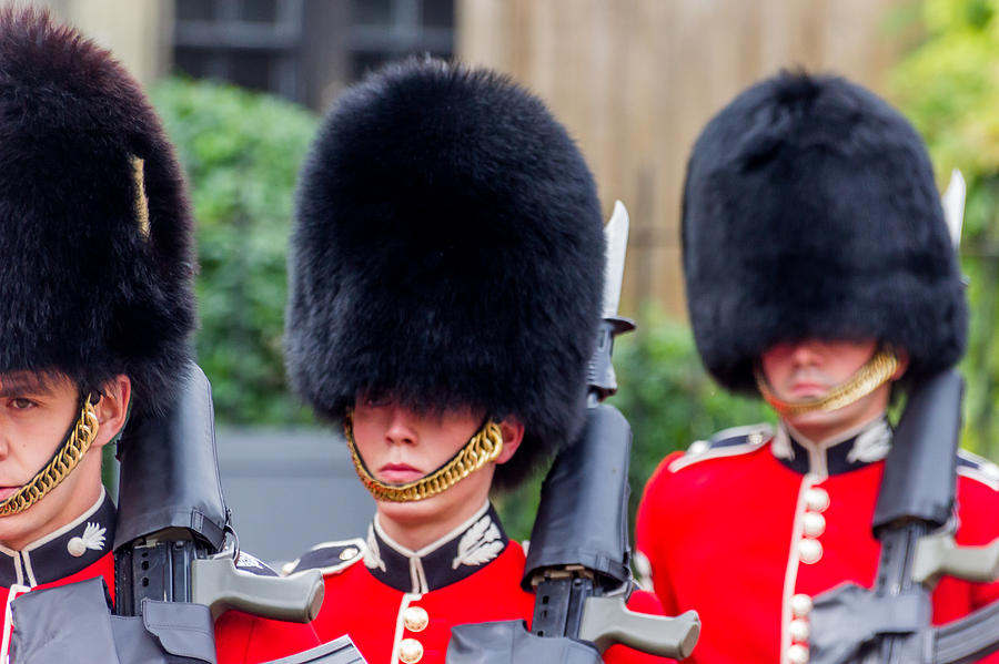 The Guards Photograph by Angela Aird - Fine Art America