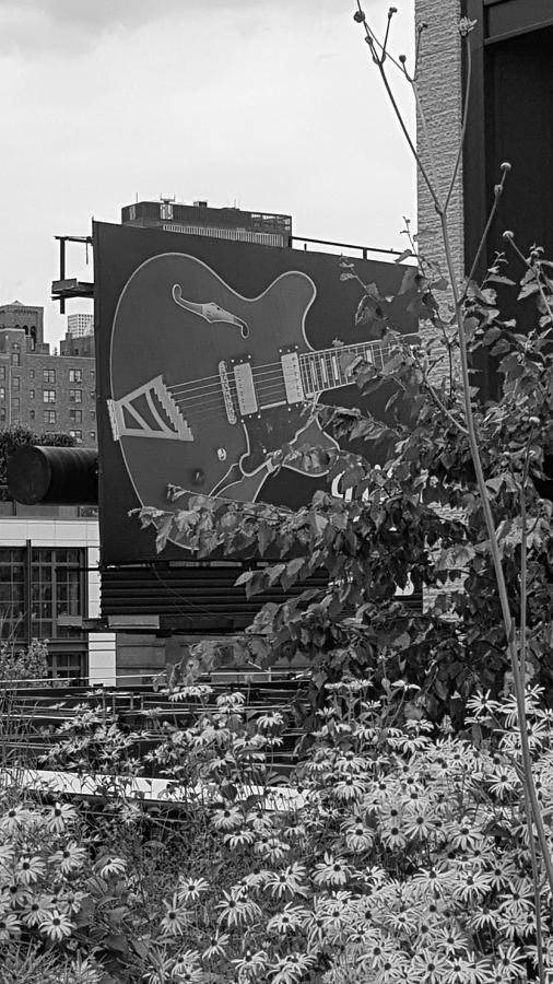 The High Line 104 #1 Photograph by Rob Hans
