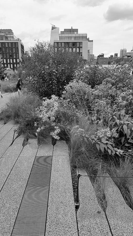 The High Line 85 #1 Photograph by Rob Hans