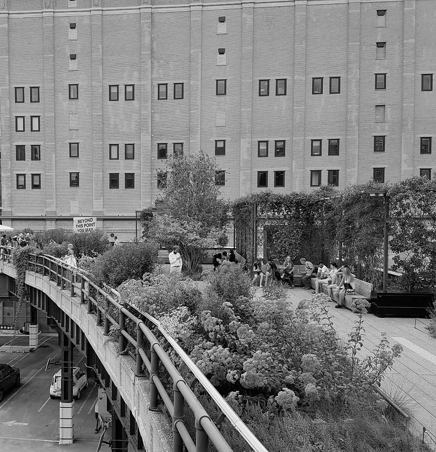 The High Line 91 #1 Photograph by Rob Hans
