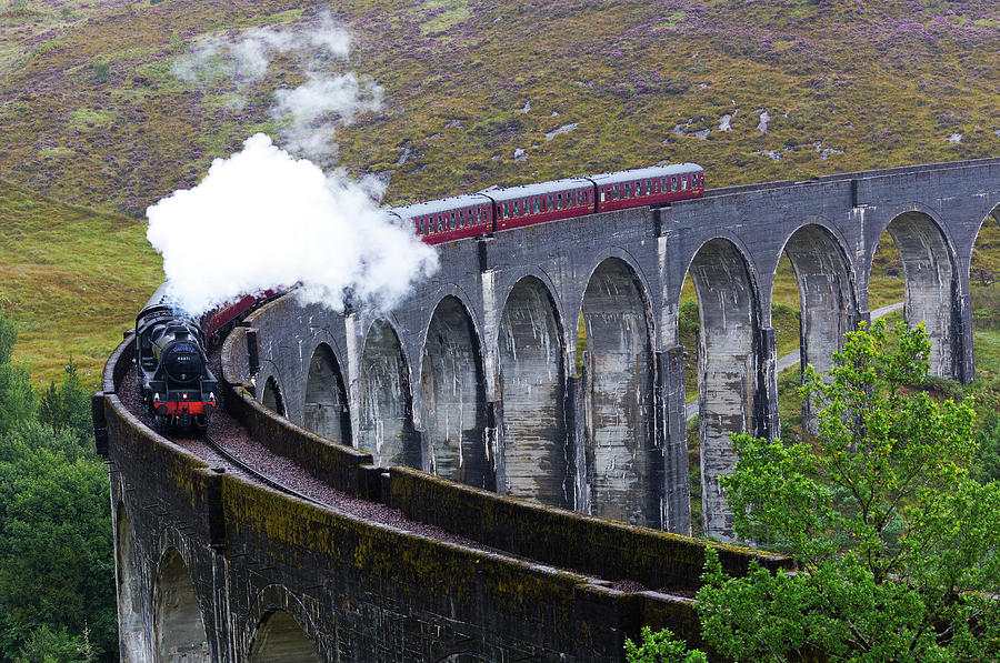 The Hogwarts Express on Glenfinnan viaduct Photograph by Bruce Beck