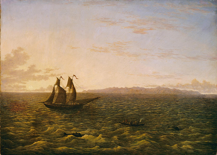 The Island of Madeira #1 Painting by John Glover