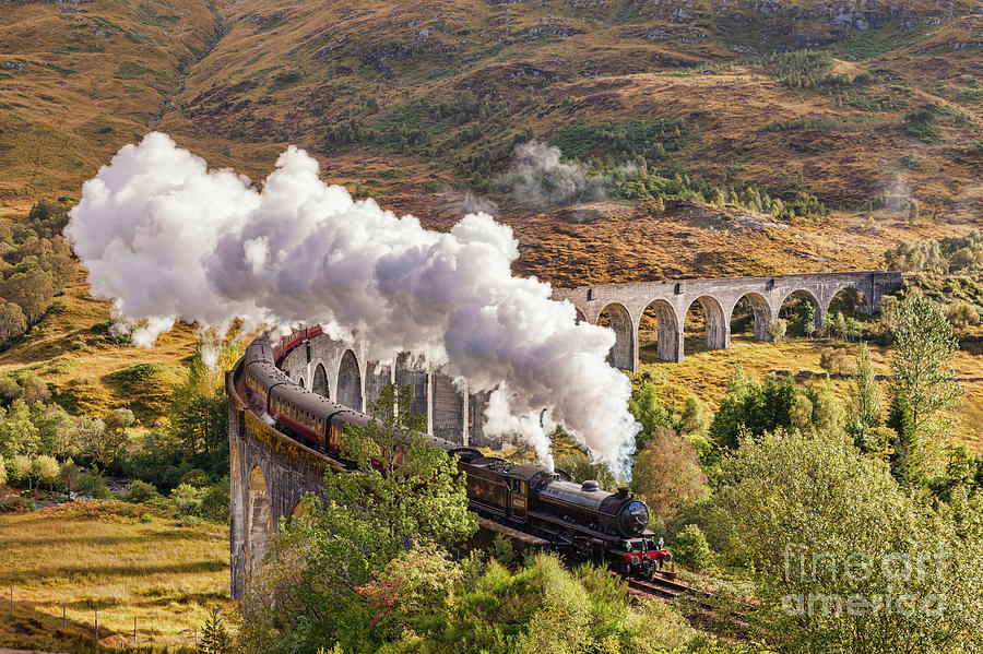 Train Photograph - The Jacobite, Glenfinnan Viaduct by Colin and Linda McKie