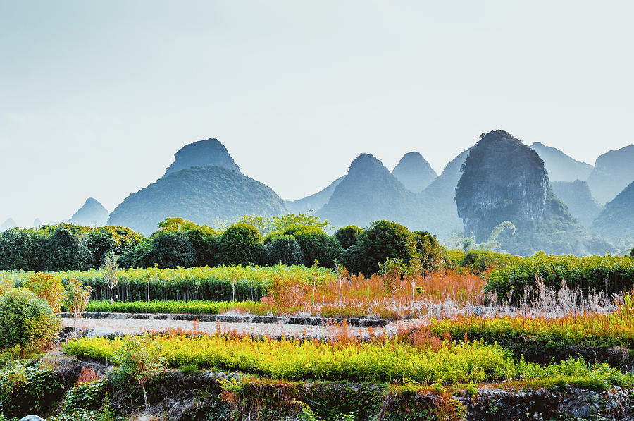 The karst mountains scenery #1 Photograph by Carl Ning