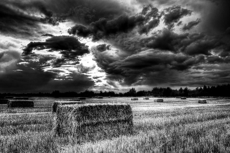 The Late Summer Farm England #1 Photograph by David Pyatt