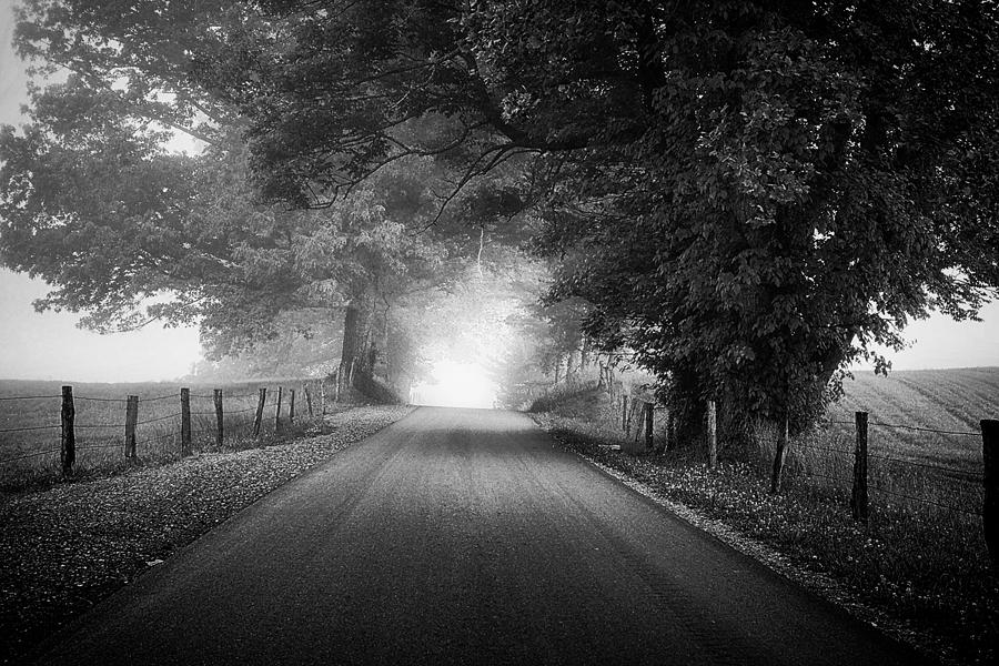 The Light Ahead #1 Photograph by Andrew Soundarajan
