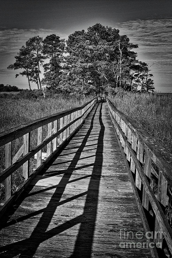 The Long Walk #1 Photograph by Skip Willits