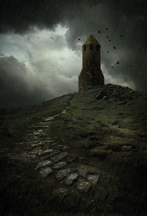 Bird Photograph - The lost tower #2 by Jaroslaw Blaminsky