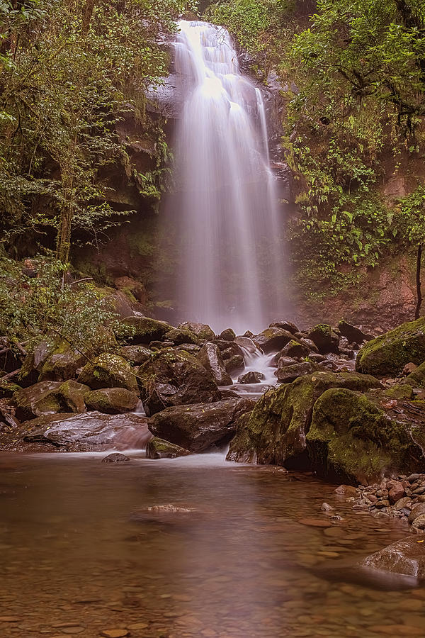 The lost waterfall trail near Boquete in Panama. Fall number thr #1 Photograph by Marek Poplawski