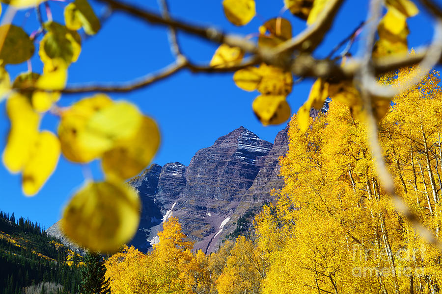 The Maroon Bells by Kate Avery The Maroon Bells by Kate Avery