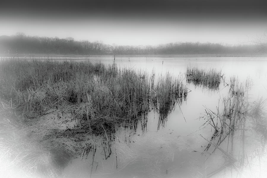 The Marsh Photograph by Mark Salamon - Fine Art America