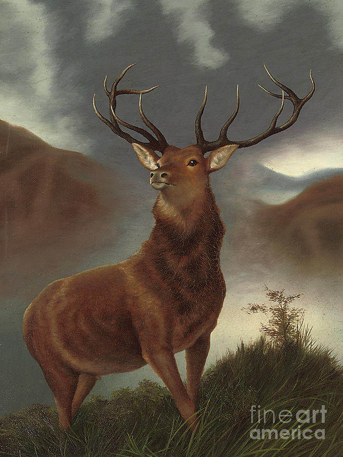 The Monarch of the Glen Edwin Landseer Deer Canvas Print Wall Art Choose Size 