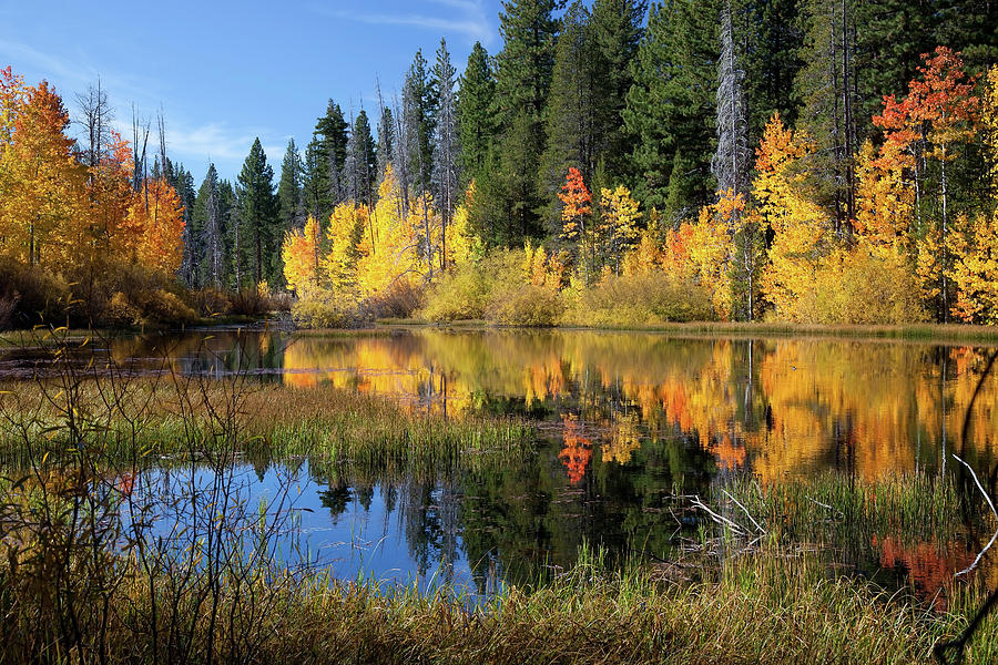 The Mountain Duck Pond No.1 Photograph by Terrance Emerson | Fine Art ...