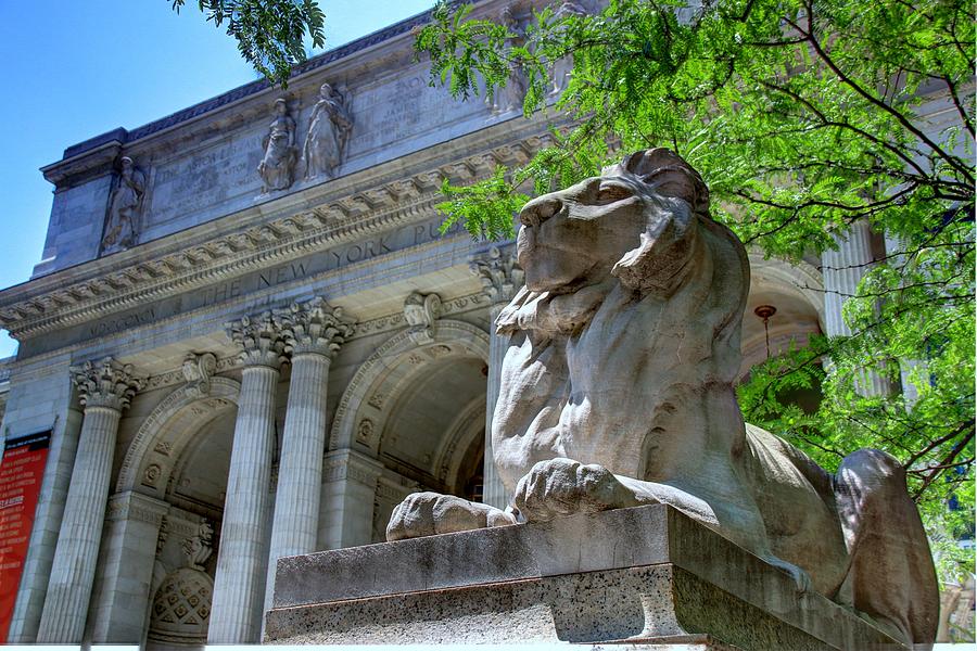 The New York Public Library Lion 2 Photograph by Allen Beatty - Pixels