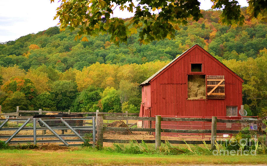 The Old Red Barn #2 Photograph by Kathy Baccari