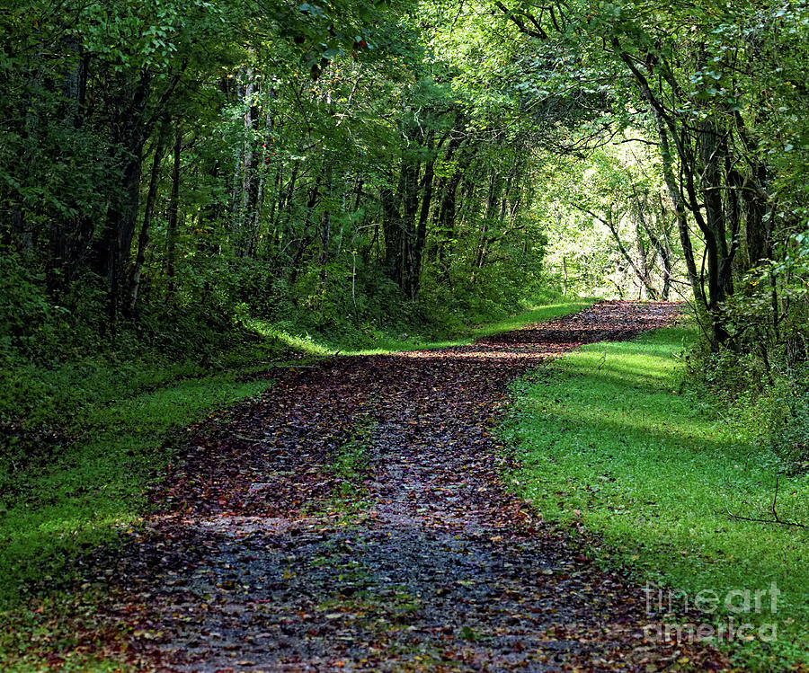 The Old Road #1 Photograph by Paul Mashburn