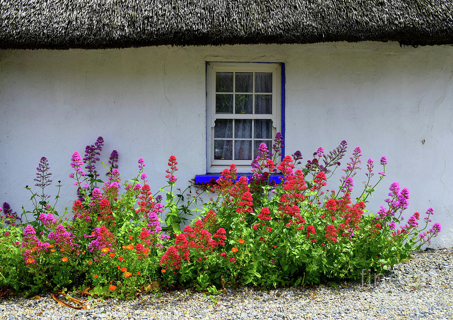 The Old thatched home #1 Photograph by Joe Cashin