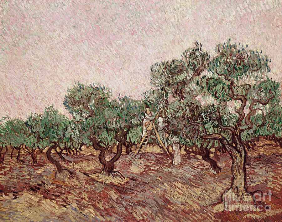 Vincent Van Gogh Painting - The Olive Pickers by Vincent van Gogh