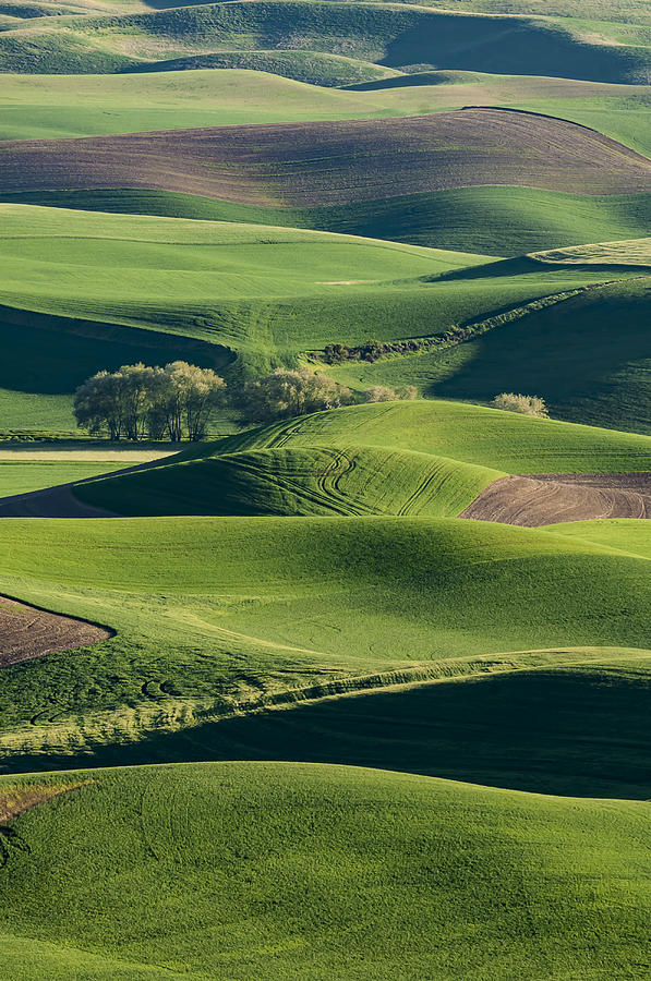 The Palouse #2 Photograph by Rick Wong - Fine Art America