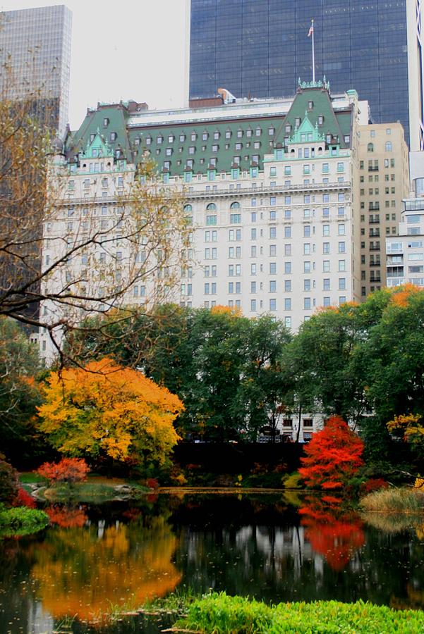 Plaza Hotel Photograph - The Park and The Plaza #1 by Christopher J Kirby