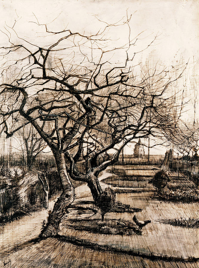 Vincent Van Gogh Painting - The Parsonage Garden at Nuenen in Winter #1 by Vincent van Gogh