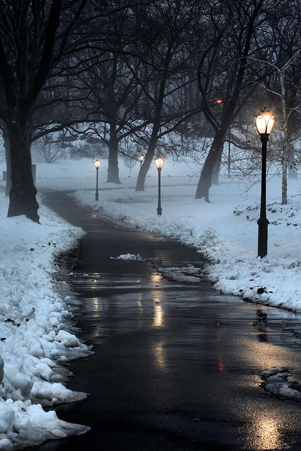 Winter Photograph - The Path #1 by JC Findley