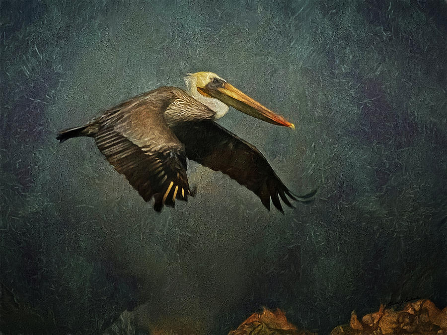 The Pelican  #2 Digital Art by Ernest Echols