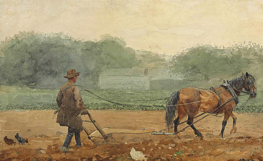 The Plowman Drawing by Winslow Homer