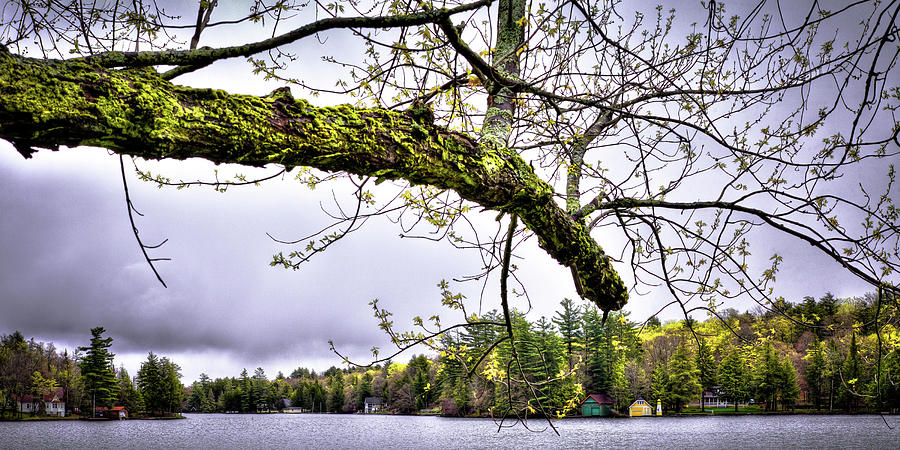The Pond in Old Forge #1 Photograph by David Patterson