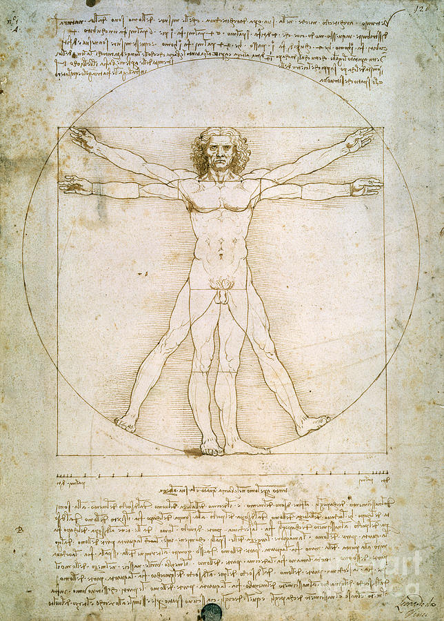 Leonardo Da Vinci Drawing - The Proportions of the human figure by Leonardo da Vinci