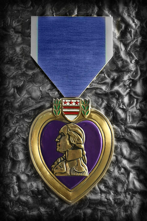 The Purple Heart  #1 Photograph by Lee Dos Santos