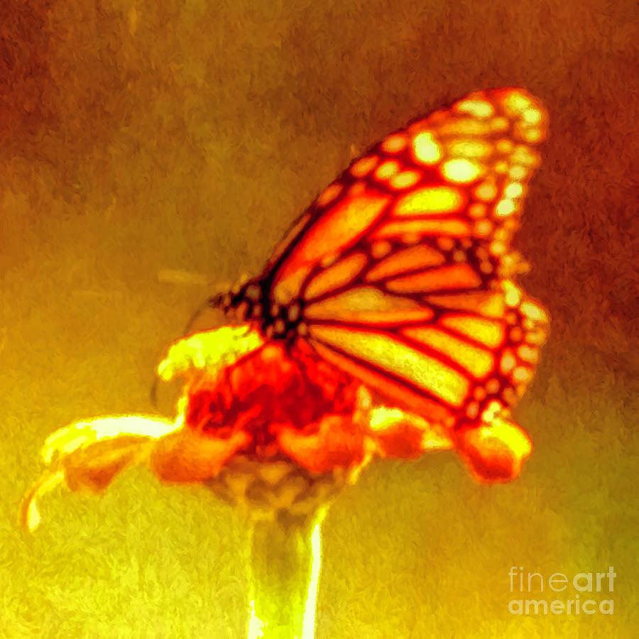 Butterfly Digital Art - The Quality Of Dreams #1 by Debra Lynch