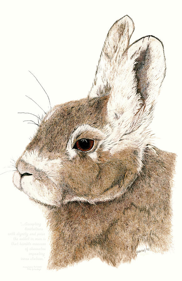 Original watercolour rabbit – Mies to Go