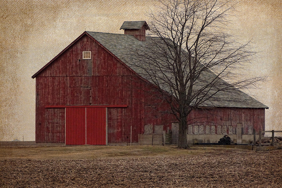 The Red Barn #2 Photograph by Theresa Campbell