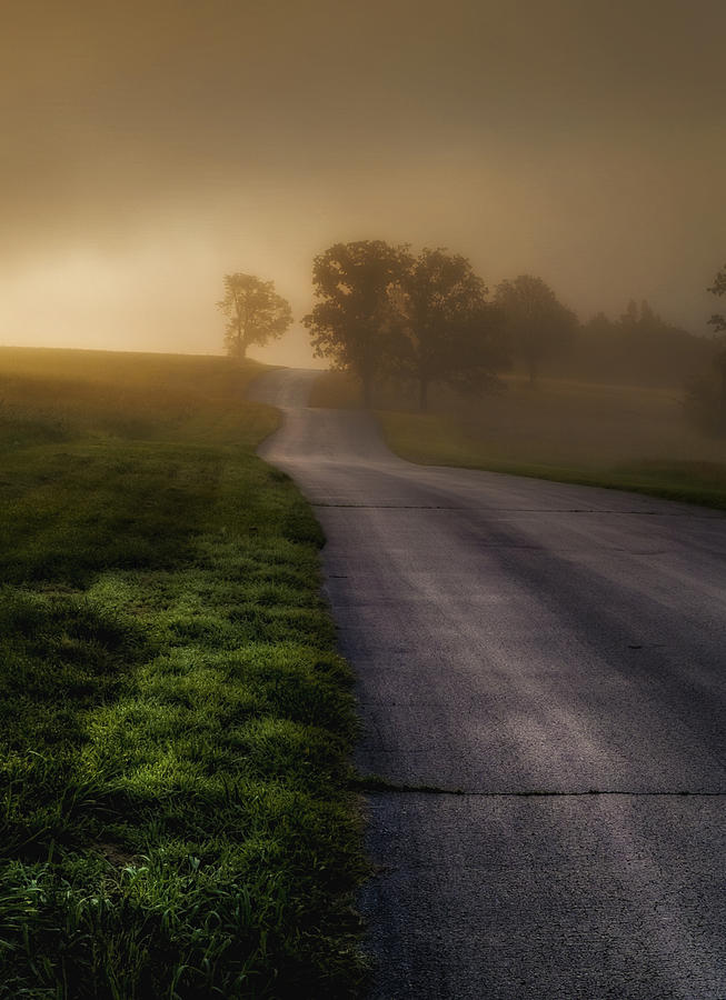 Tree Photograph - The Road Home #1 by Ron  McGinnis