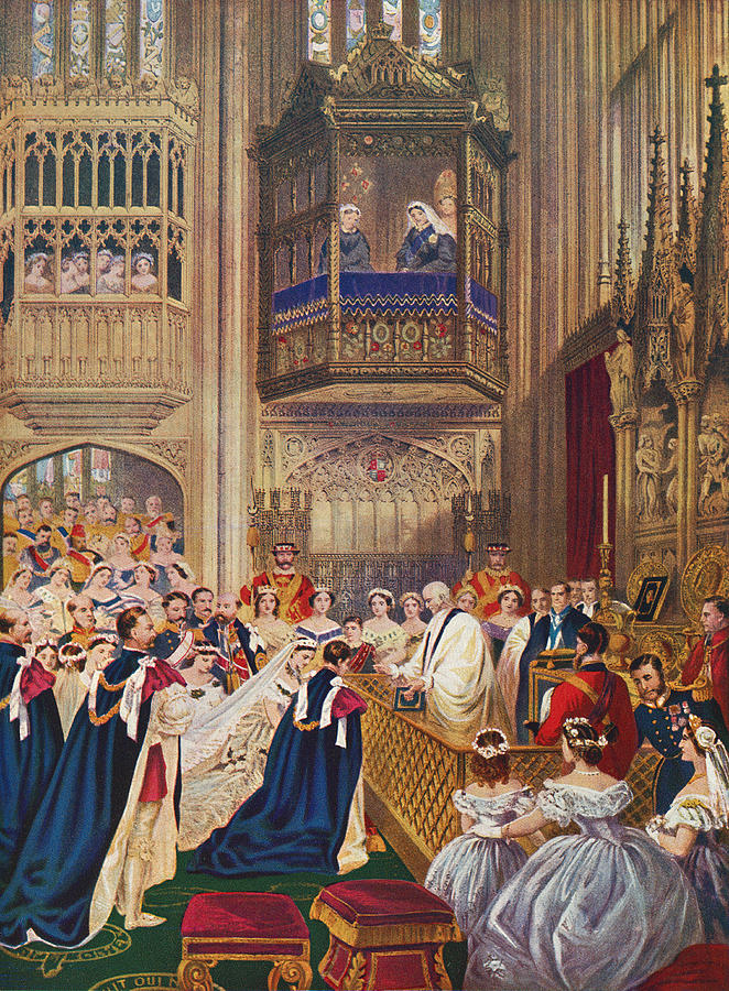 Charlotte Drawing - The Royal Wedding Between Albert #1 by Vintage Design Pics