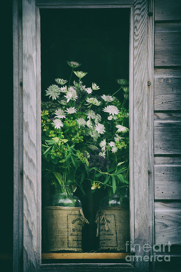 Garden Photograph - The Shed #1 by Tim Gainey