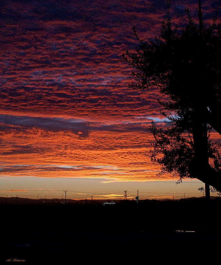 The shortest day Sunrise #1 Photograph by Arik Baltinester