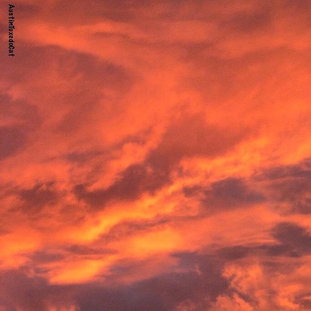 Nature Photograph - The #sky Has Been On #fire In #1 by Austin Tuxedo Cat