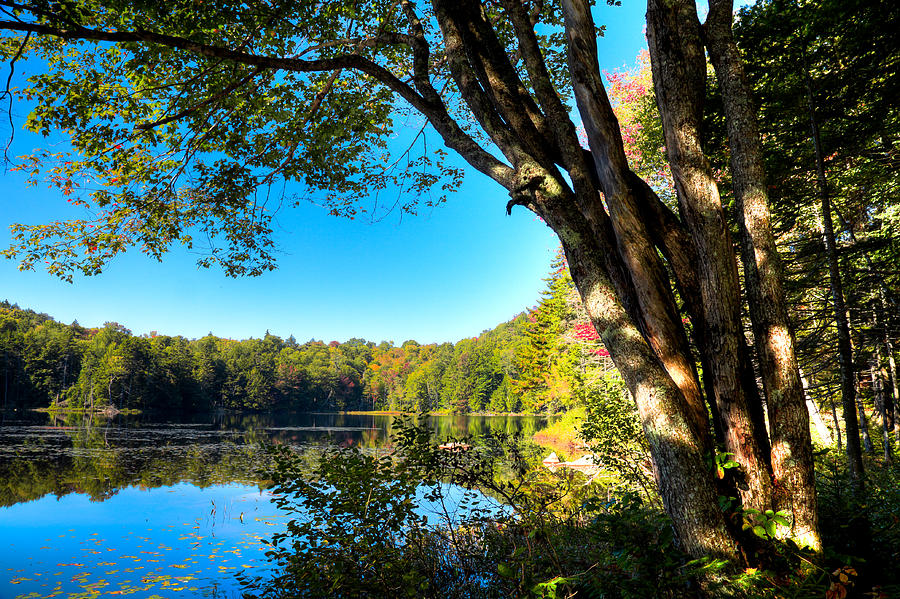 Mountain Photograph - The South End of Cary Lake #2 by David Patterson